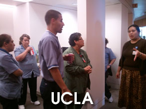 PCT-UCLA